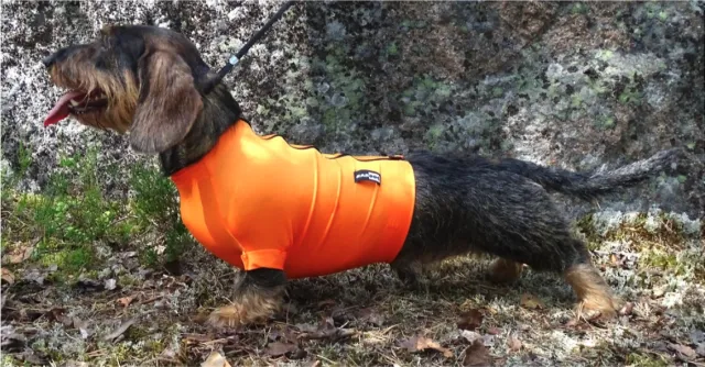 KARDOG LUMI UNDERTRØYE FOR VEST