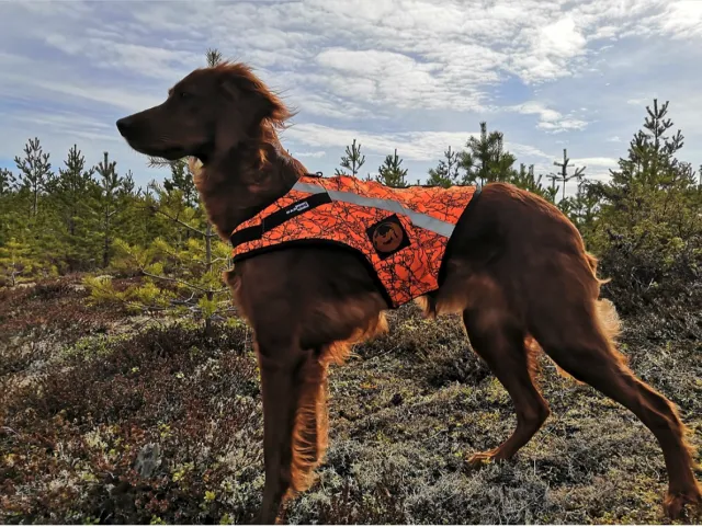 Kardog Rymy sikkerhetsvest