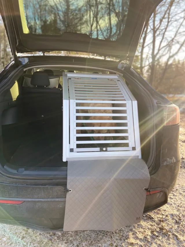Enkelbur Tesla Model Y