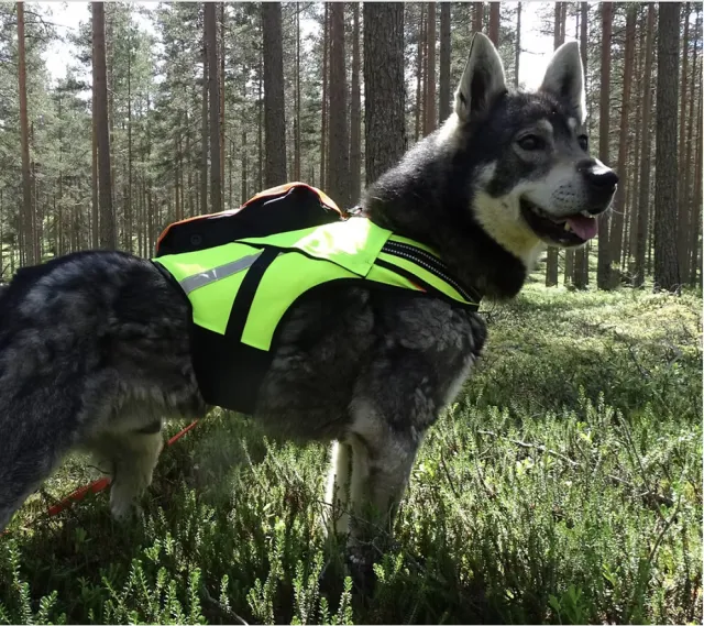 Kardog Raipe Gps vest