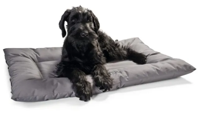 Vannavvisende hundedyne
