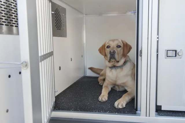 Gummi matter hundekasse/ hundehenger 110*110